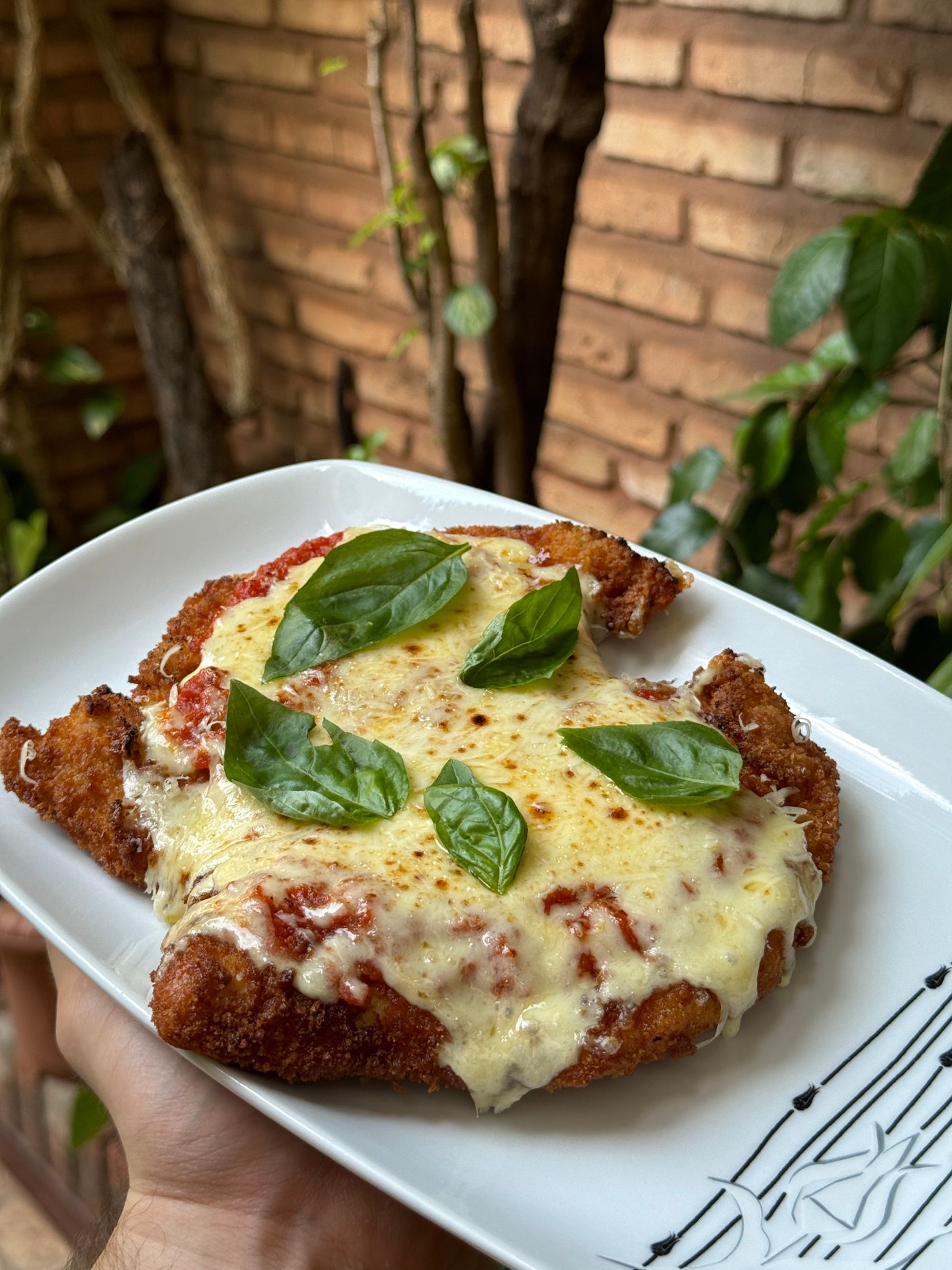 Chicken Parmesan with fresh basil. breaded chicken cutlet; red tomato sauce; melted cheese; whole basil leaves.